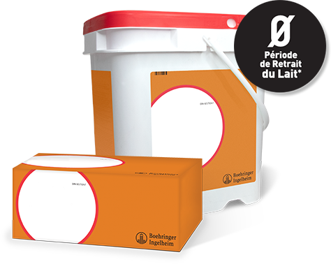 Dry Cow Tubes orange