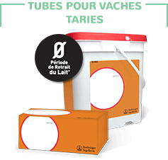 Dry Cow Tubes orange withlabel