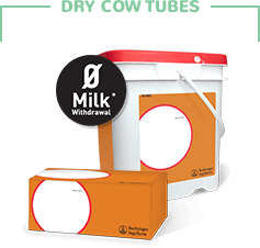 Dry Cow Tubes orange withlabel