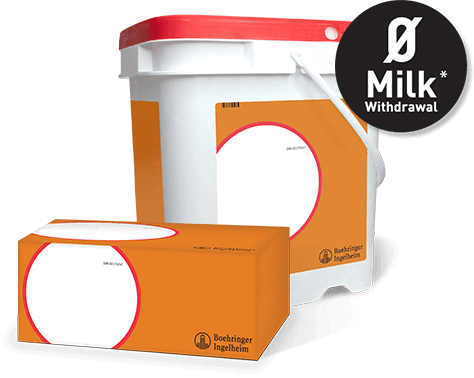 Dry Cow Tubes orange